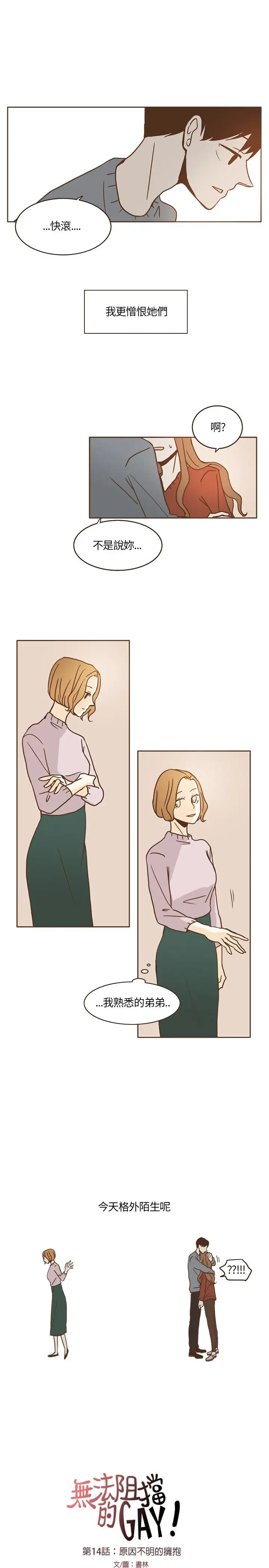 无法阻挡的Gay第14话