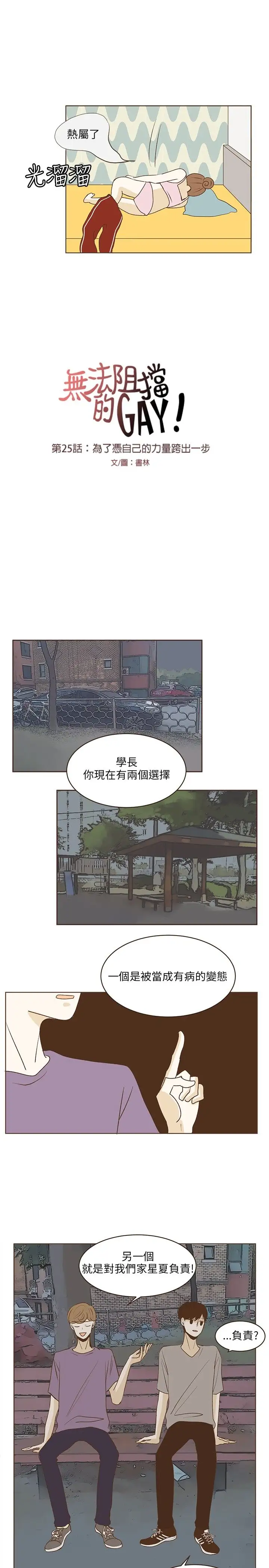 无法阻挡的Gay第25话