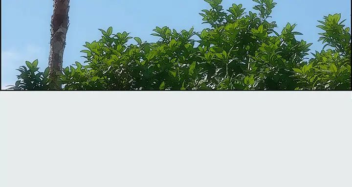 纵夏夜之梦第26话-师奶杀手