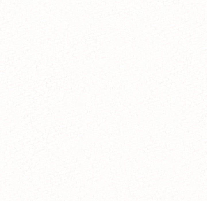 懵懂男生的恋爱史第2话