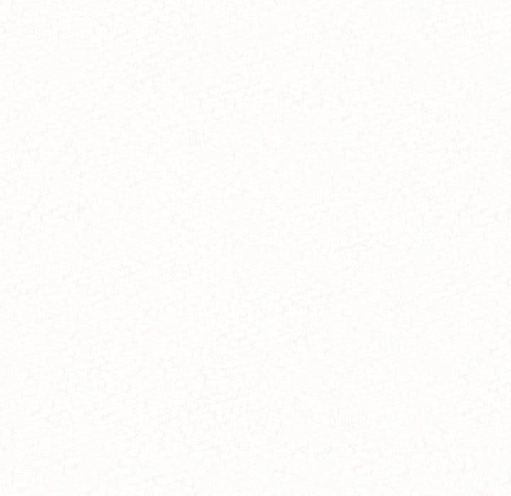 懵懂男生的恋爱史第2话