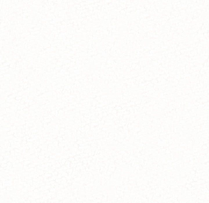 懵懂男生的恋爱史第2话