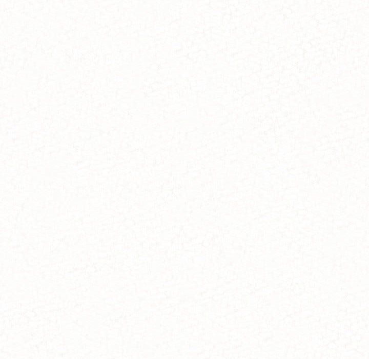 懵懂男生的恋爱史第2话