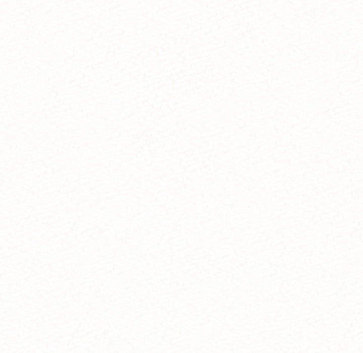 懵懂男生的恋爱史第6话