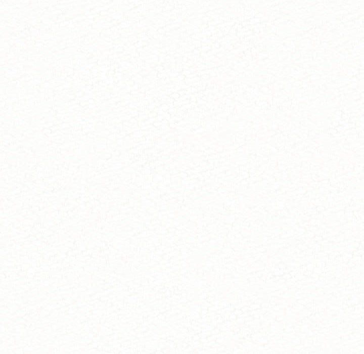 懵懂男生的恋爱史第6话