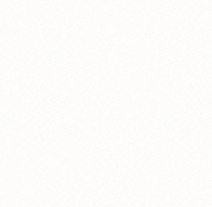 懵懂男生的恋爱史第10话