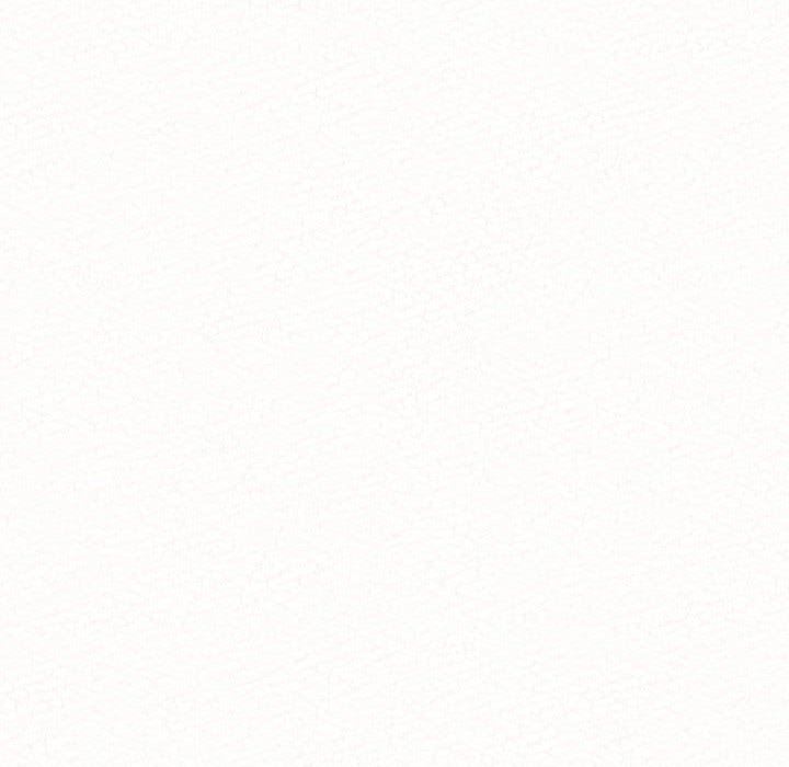 懵懂男生的恋爱史第45话