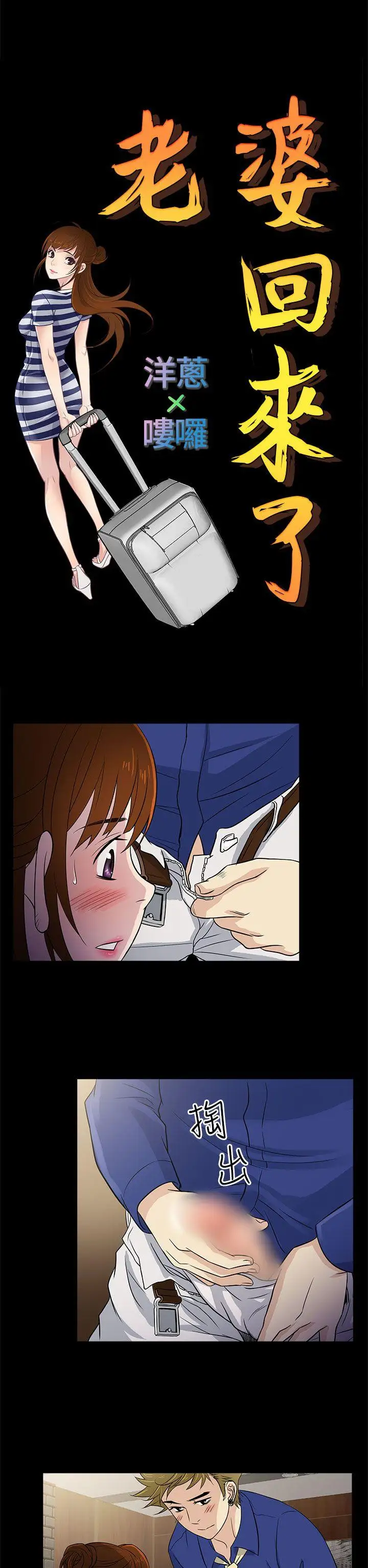 老婆回来了第12话