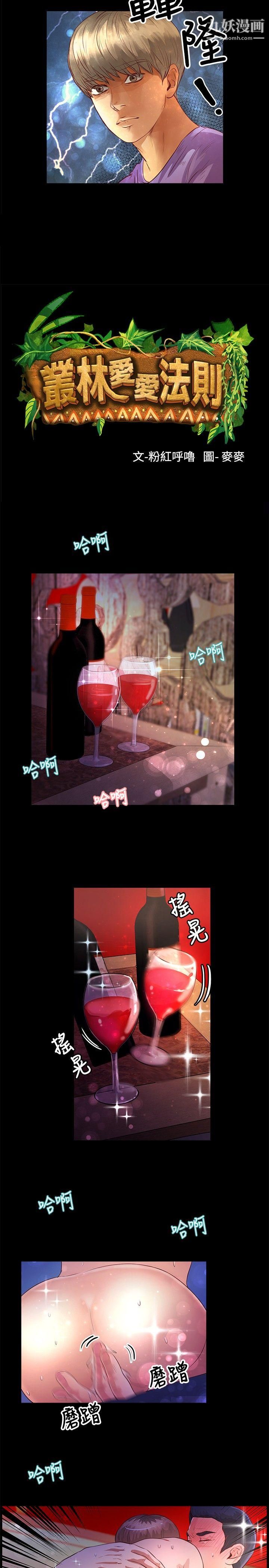 丛林爱爱法则第34话