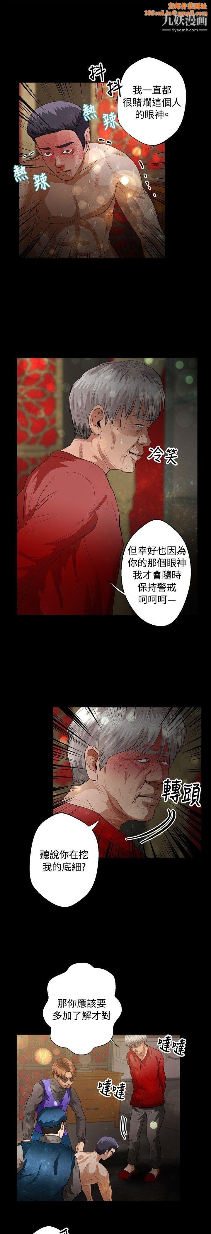 丛林爱爱法则第40话