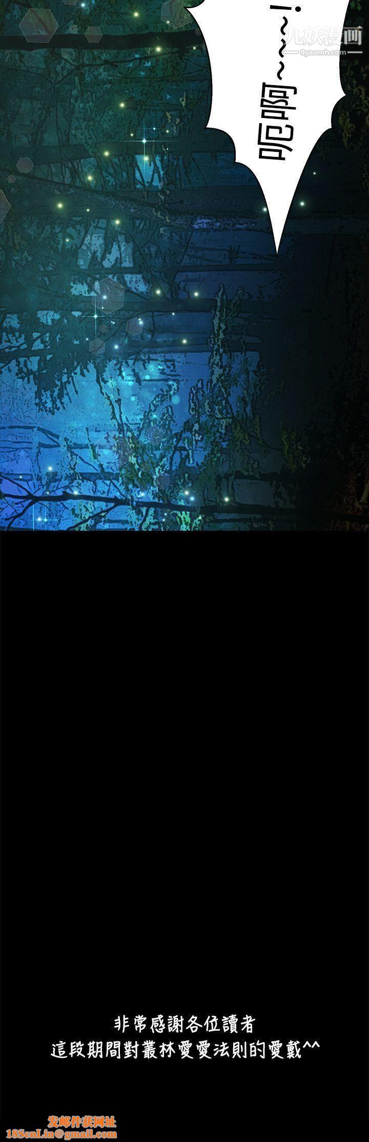 丛林爱爱法则最终话