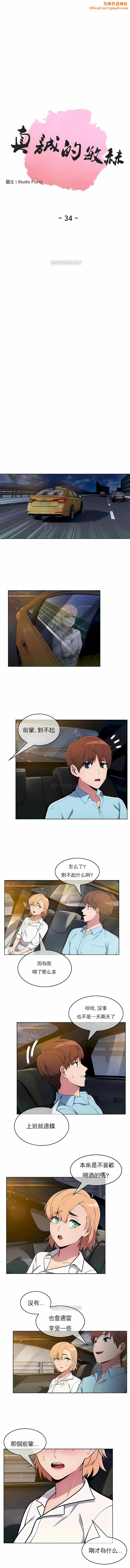 真诚的敏赫第34话