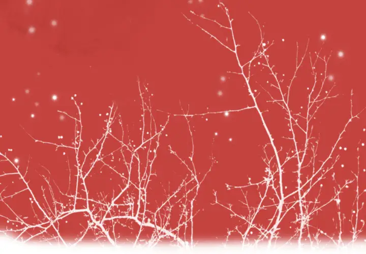 欲望人妻第12话