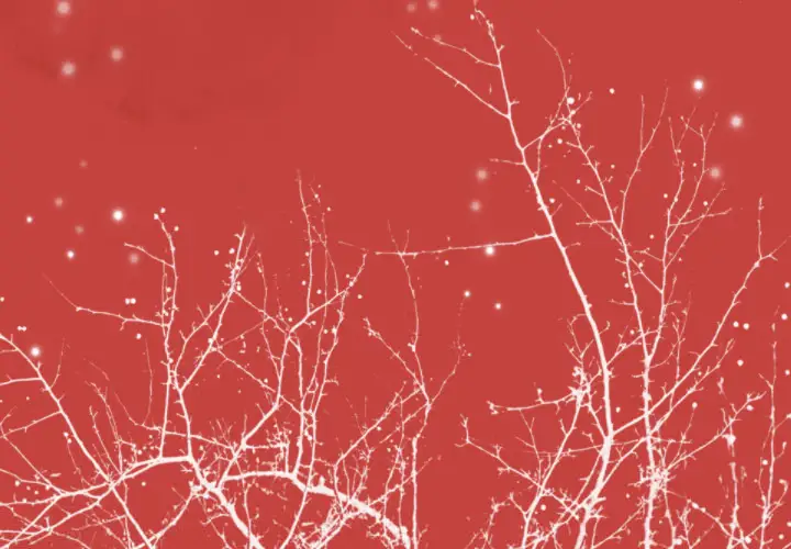 欲望人妻第38话