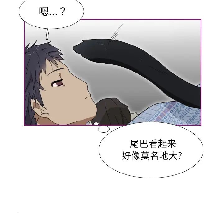 我的猫狗女友第1话