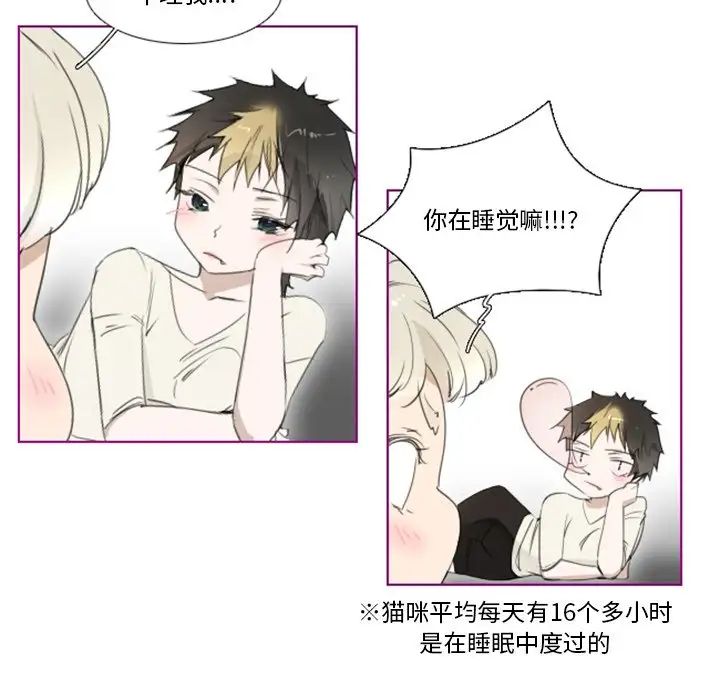 我的猫狗女友第11话