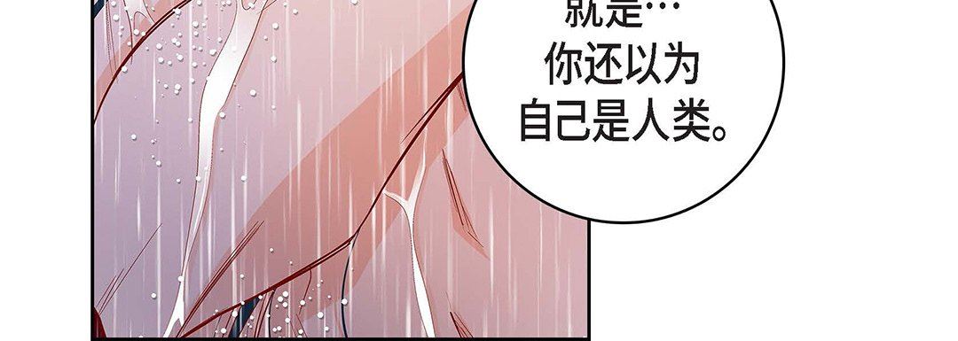 献给心臟第98话