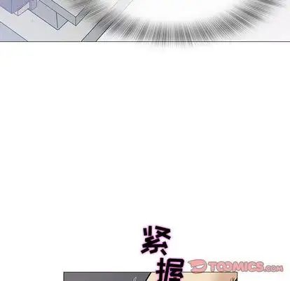 奇趣新人第8话