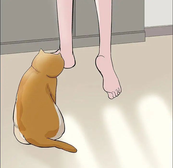 奇趣新人第12话