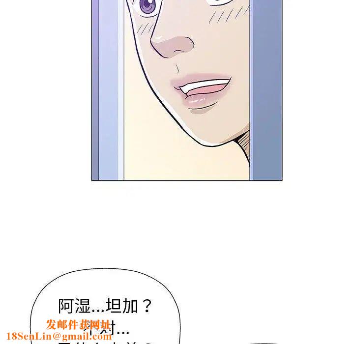 奇趣新人第12话