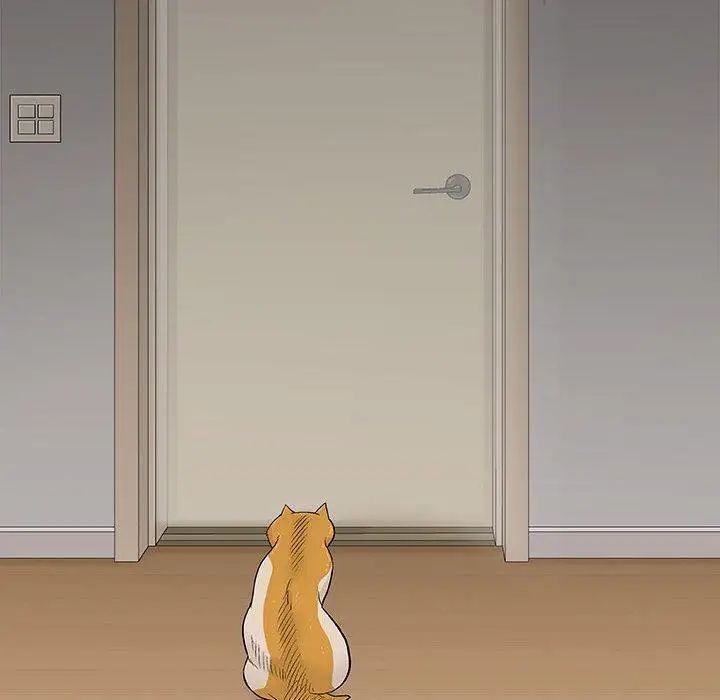 奇趣新人第19话