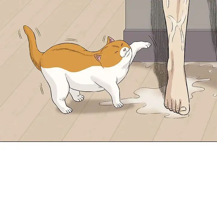 奇趣新人第26话