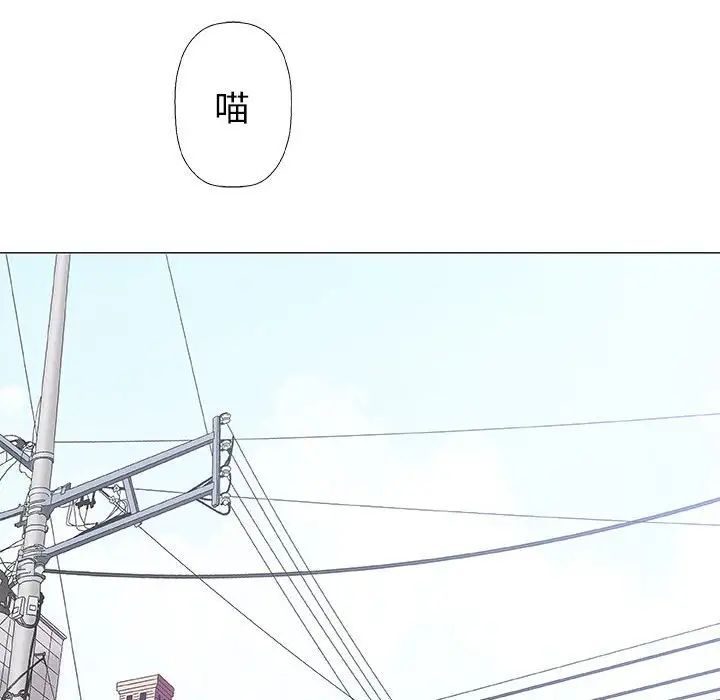 奇趣新人第28话