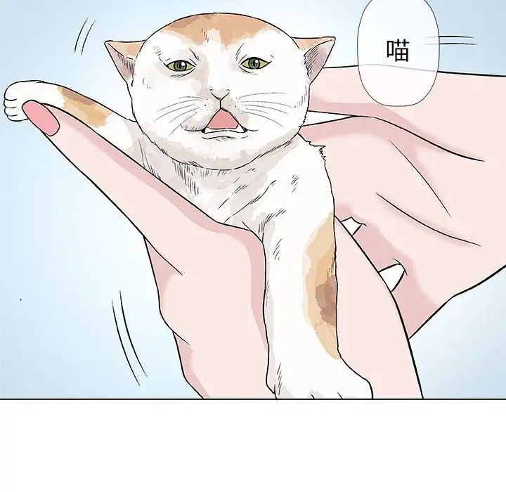 奇趣新人第28话