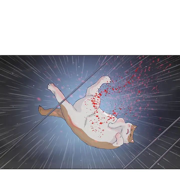 奇趣新人第43话