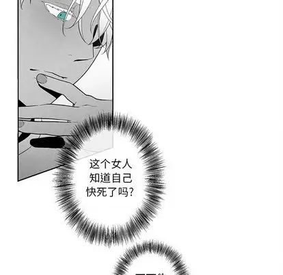 墓誌铭第14话