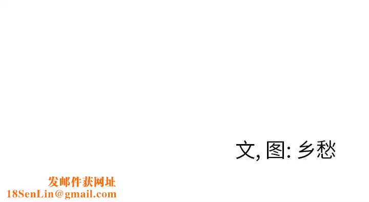 墓誌铭第37话