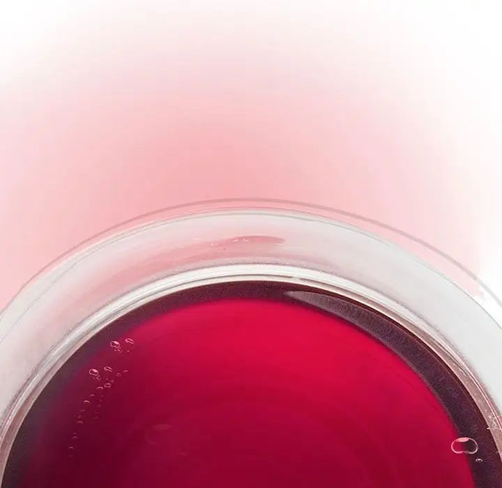 疯了才结婚第1话