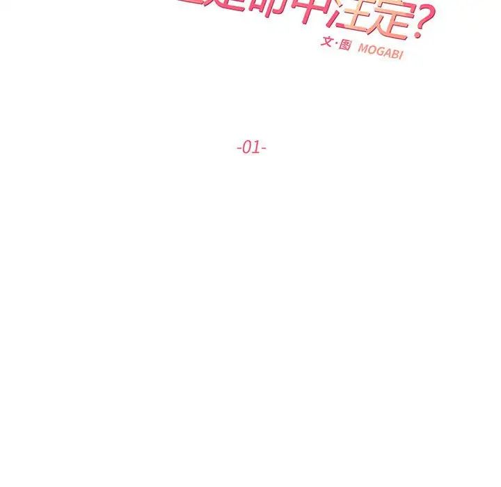 这难道是命中注定第1话