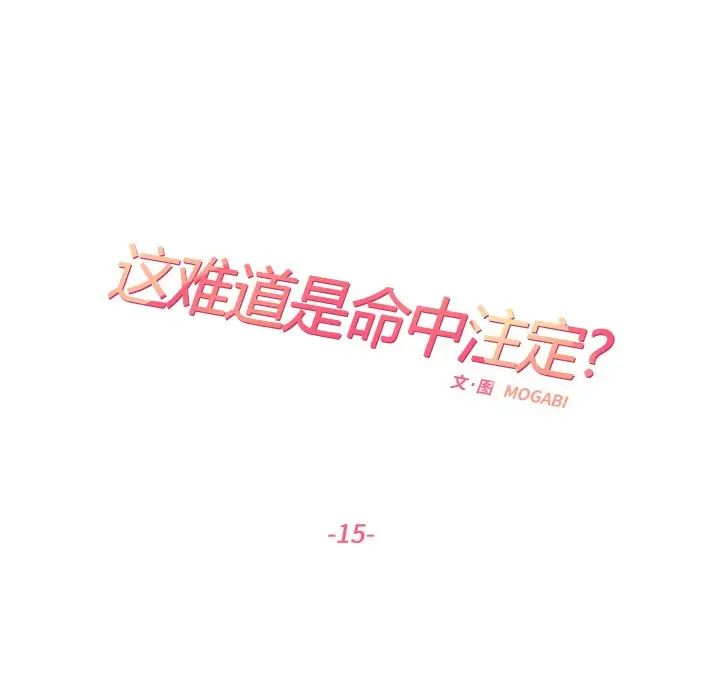 这难道是命中注定第15话