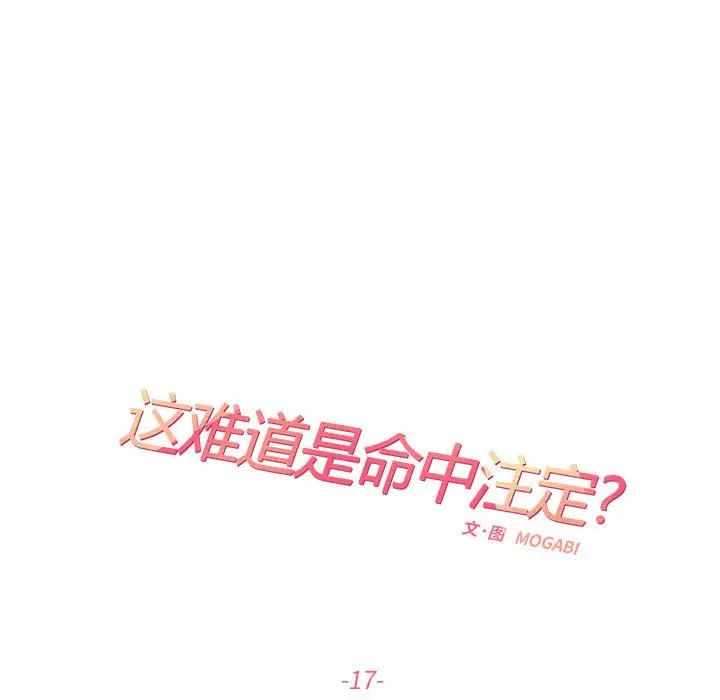 这难道是命中注定第17话
