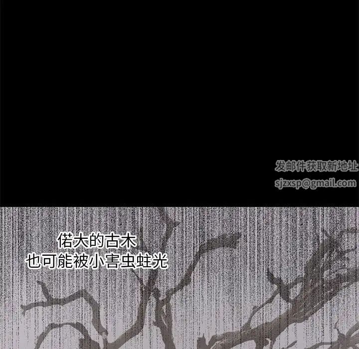 上流社会的女人第15话