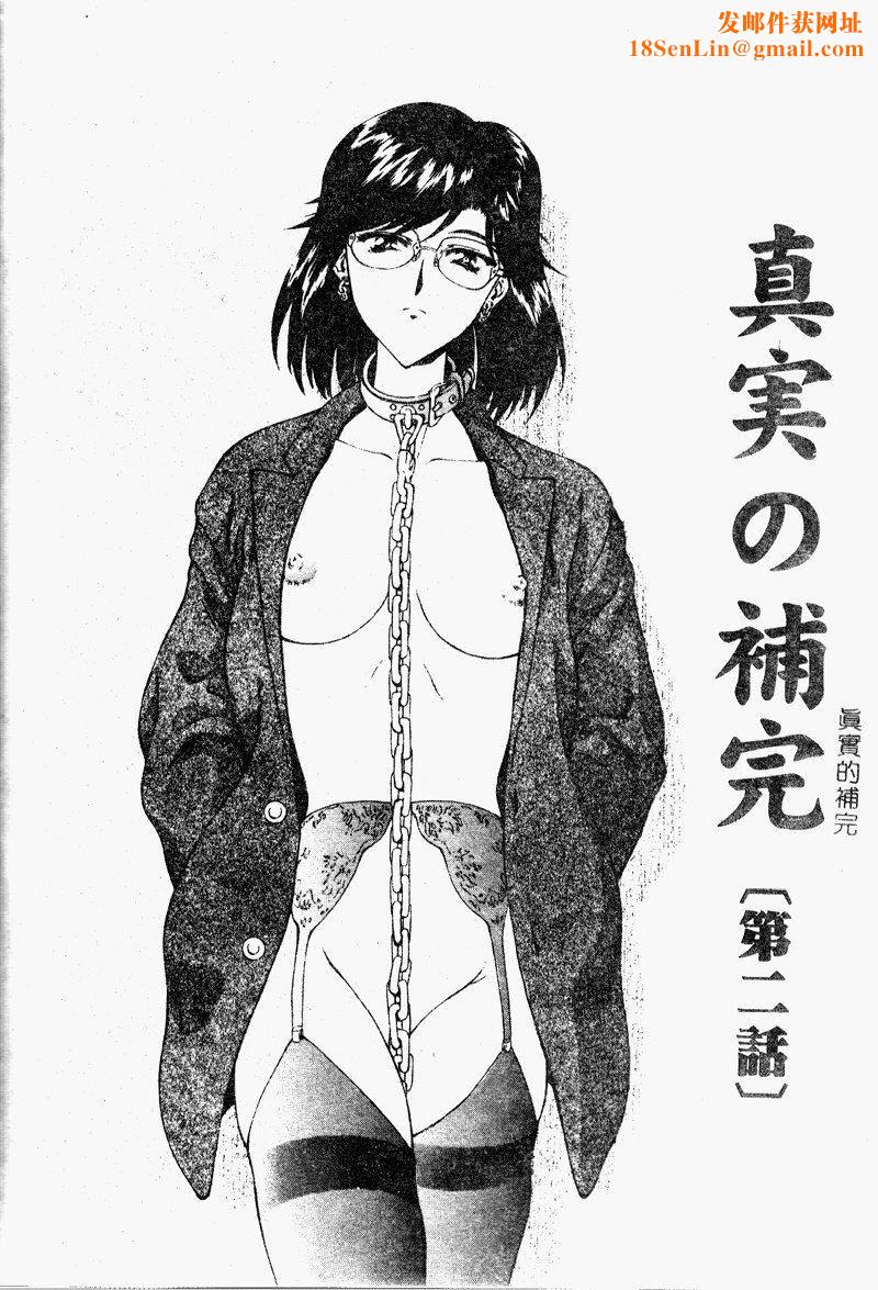 [向正义]真実の补完[中][向正义]真実の补完[中]