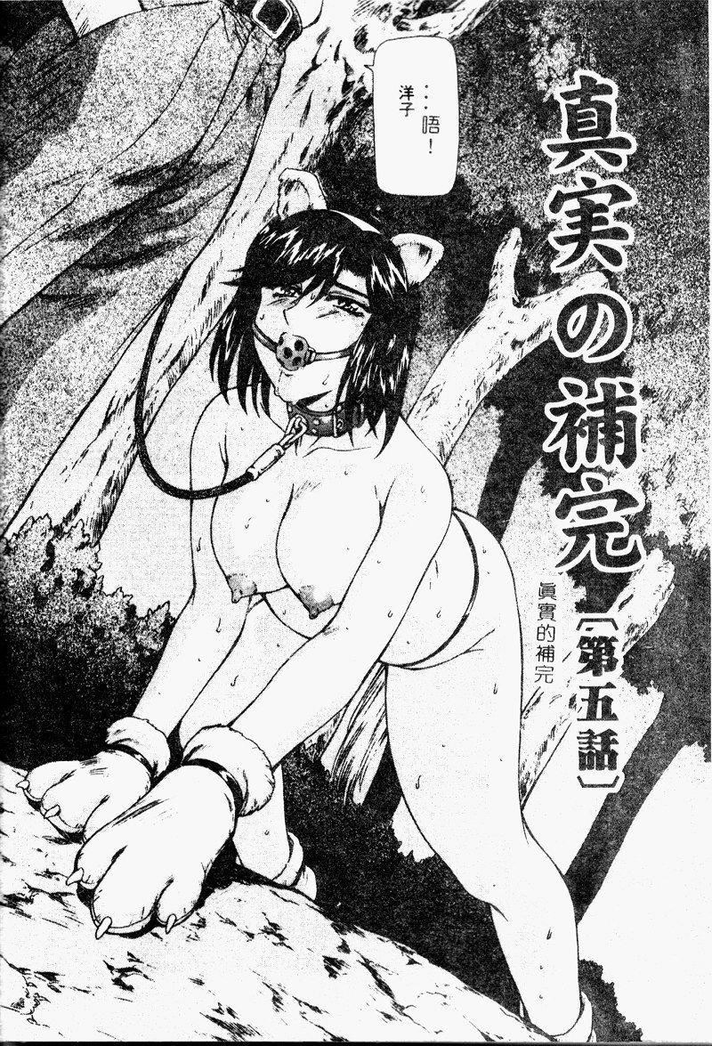 [向正义]真実の补完[中][向正义]真実の补完[中]