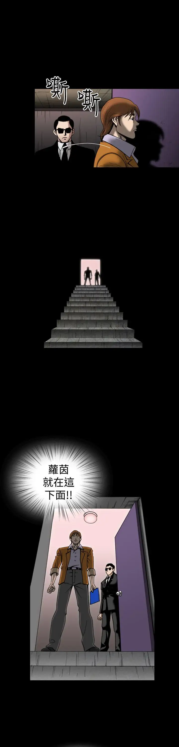 上流社会最终话