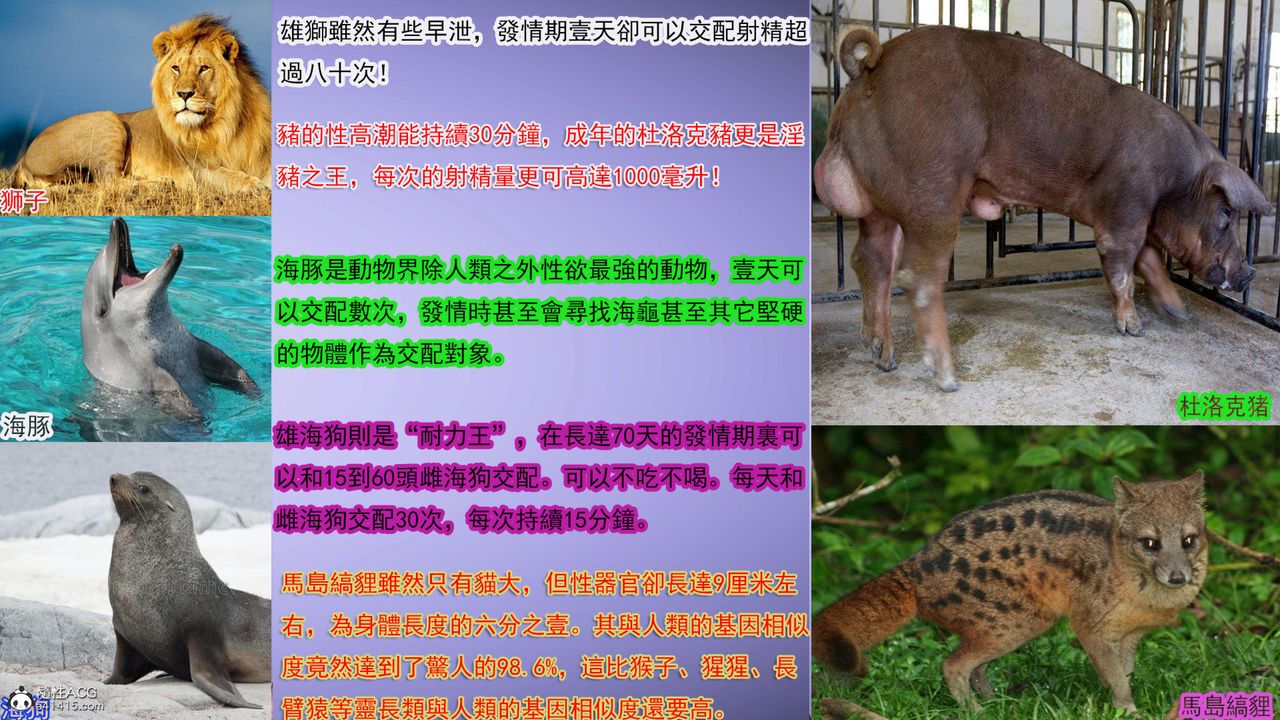 [3D]冰峰魔恋第31话