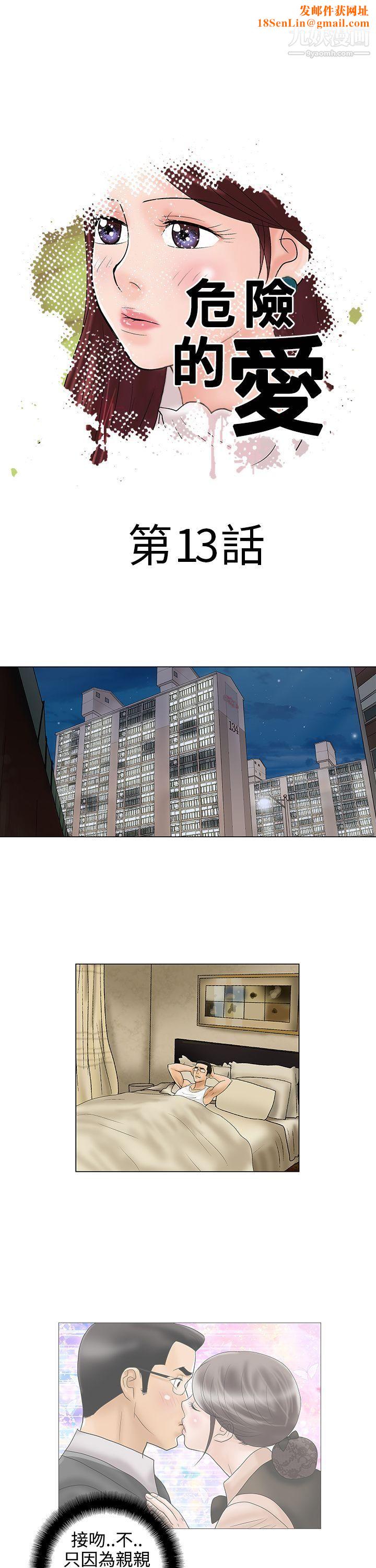 危险的爱第13话