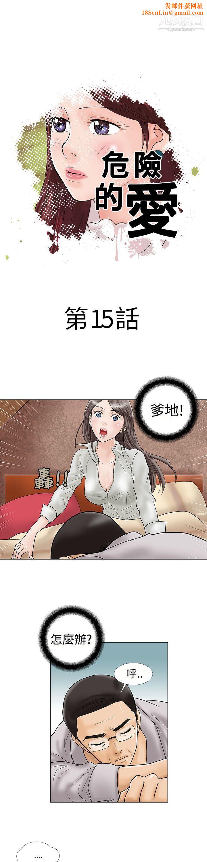 危险的爱第15话