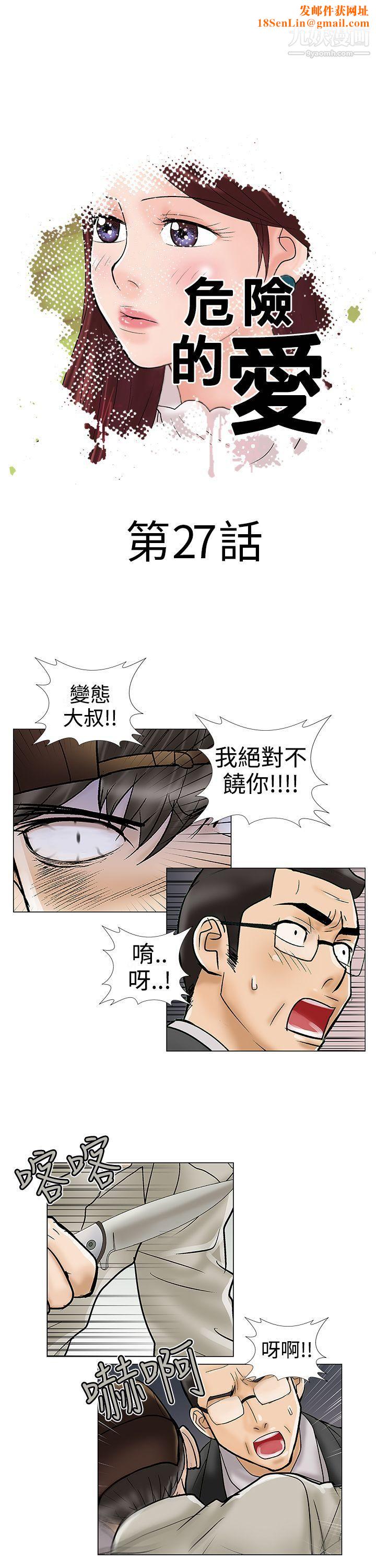 危险的爱第27话