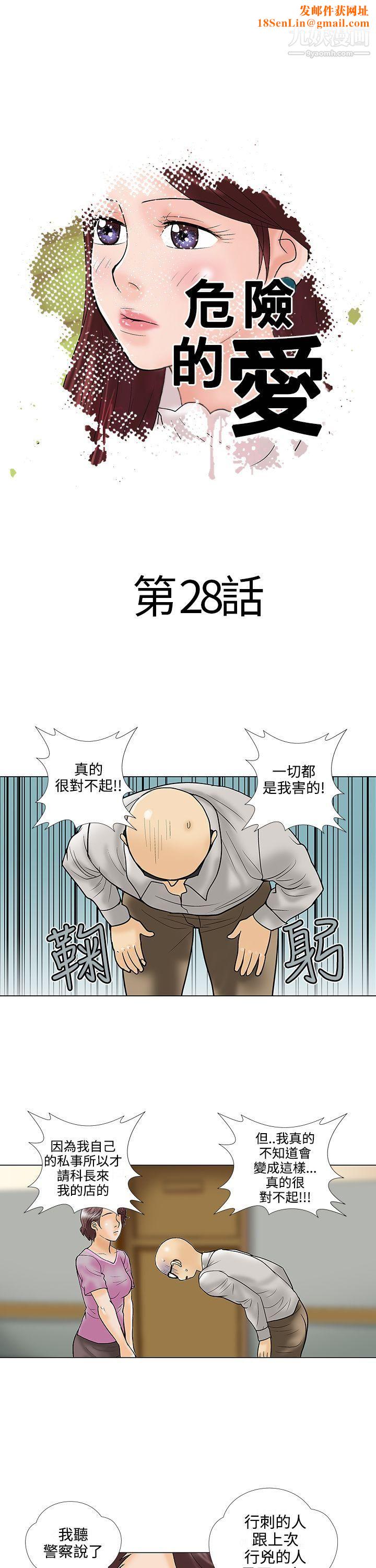 危险的爱第28话