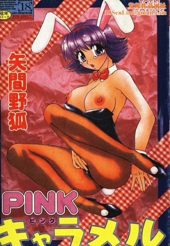 [矢间野狐]PINKキャラメル[矢间野狐]PINKキャラメル