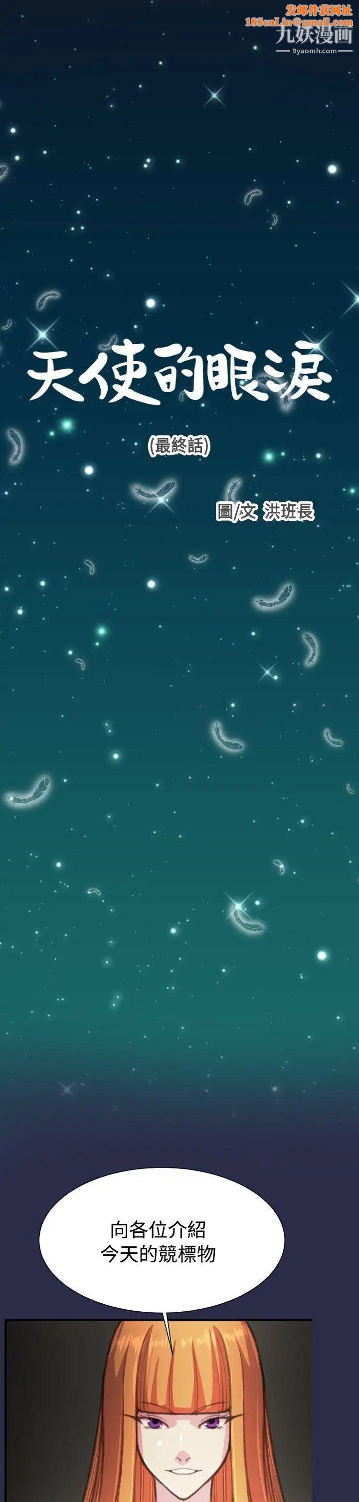 天使的眼泪最终话