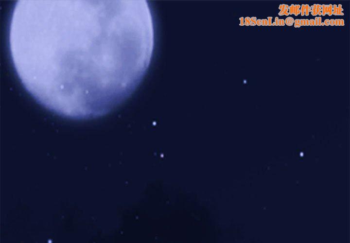 心机女教授第155话