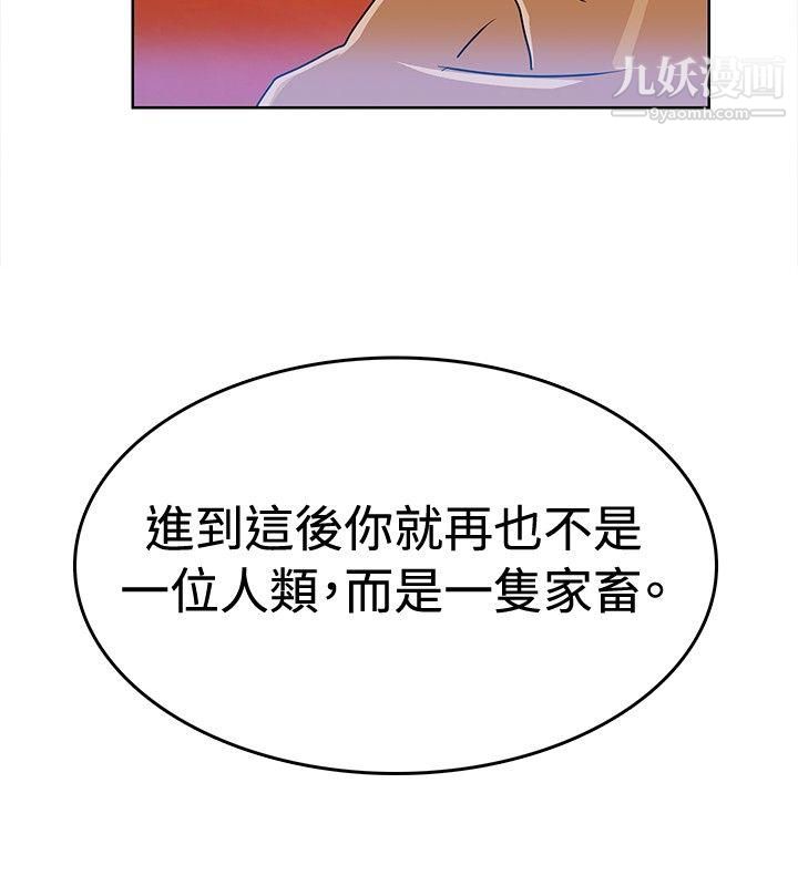 猪仔农场第4话
