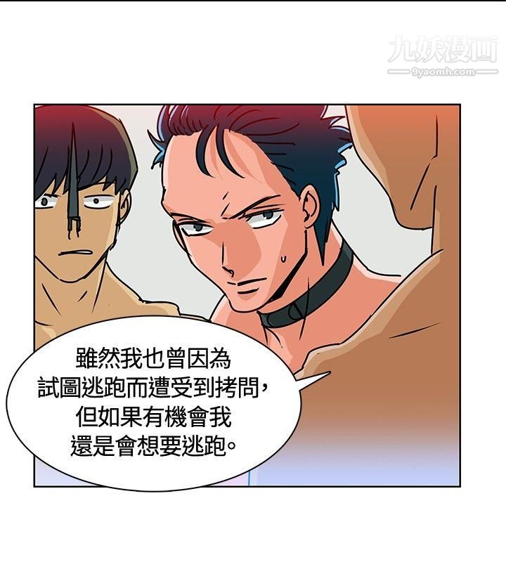 猪仔农场第13话