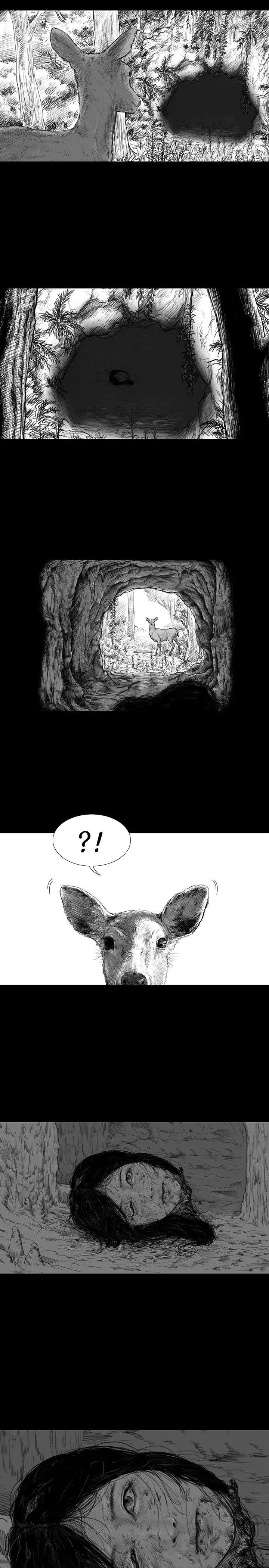 SEEDTheBeginning第1话